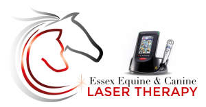 ESSEX EQUINE & CANINE LASER THERAPY